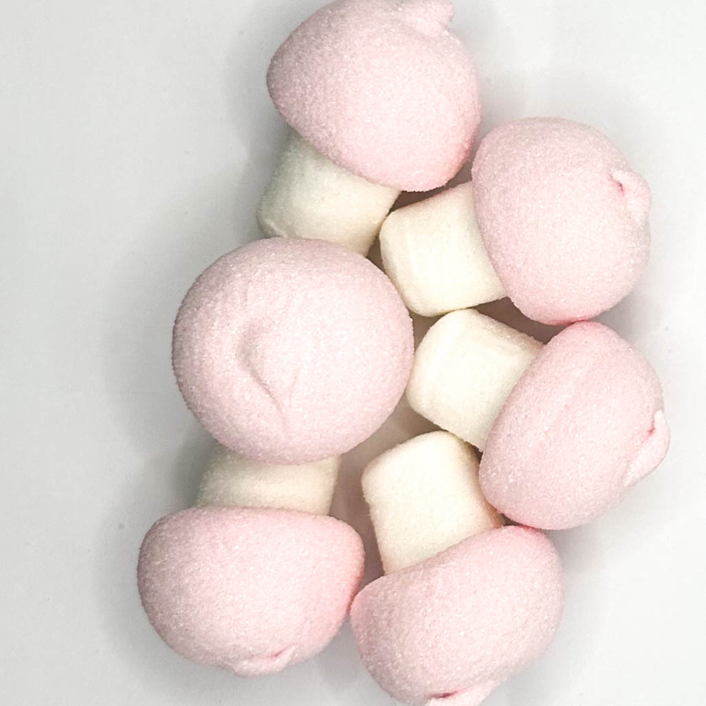 Gomba Pillecukor (100g)